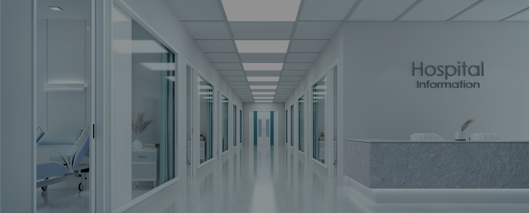 B2G - Advancing public healthcare through digital innovation Solutions